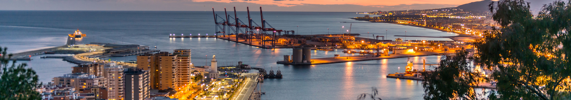 Díganos lo que busca en Málaga y lo encontraremos. INMOARENAL en Málaga